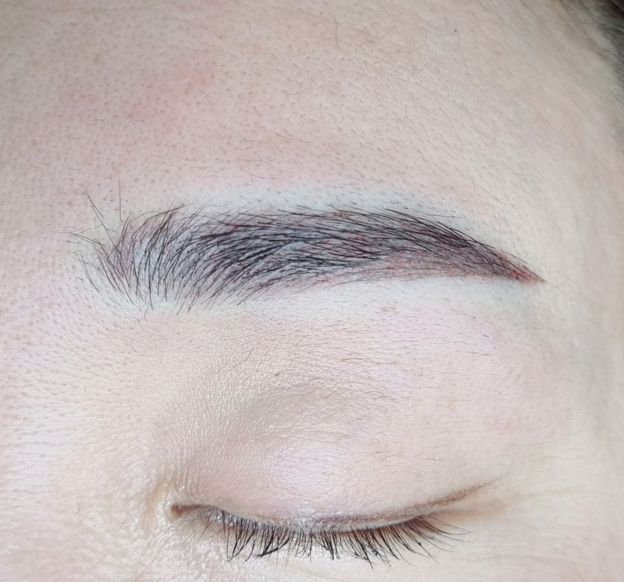 1948697120_B5EubKWc_0178521296c6cae8e32771ad89a3c92f9e18866d.jpg 이미지크게보기