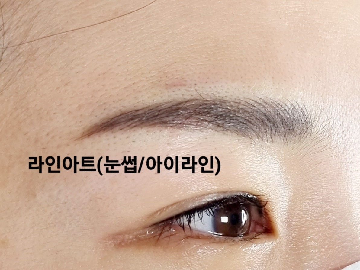 1948697120_BIq8Klft_795efa6caf1ed197c7143ce0f22247d227071310.jpg 이미지크게보기